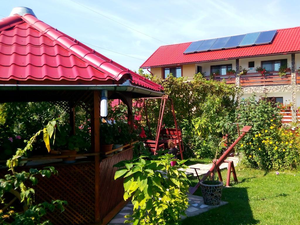 Pensiunea Dana Horezu Bagian luar foto