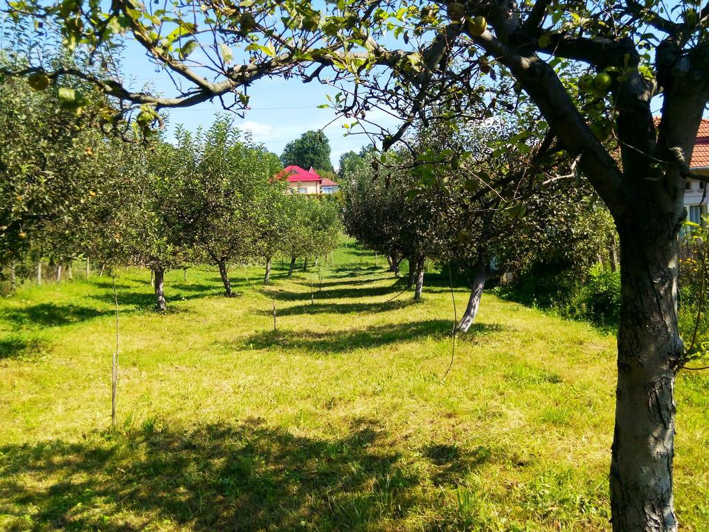 Pensiunea Dana Horezu Bagian luar foto