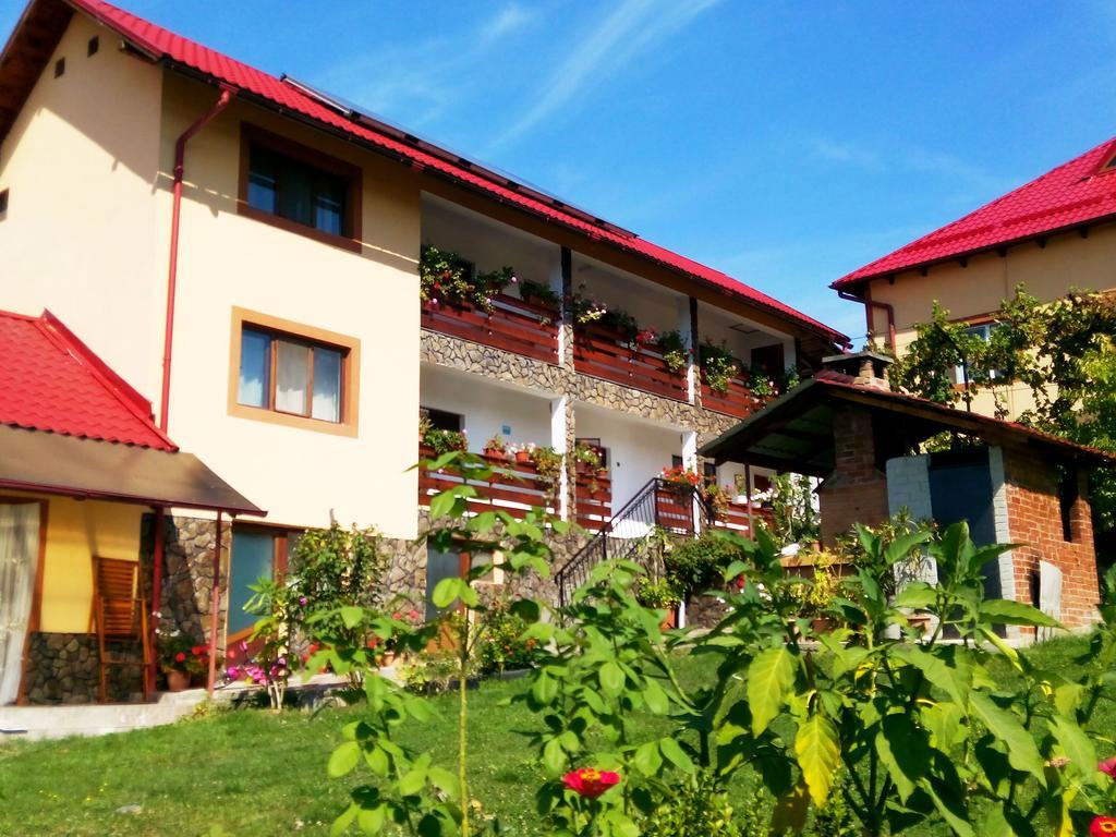 Pensiunea Dana Horezu Bagian luar foto