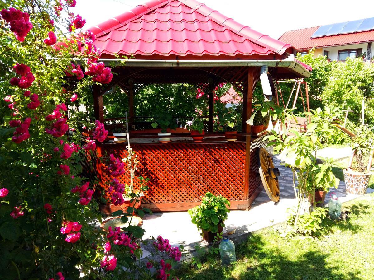 Pensiunea Dana Horezu Bagian luar foto