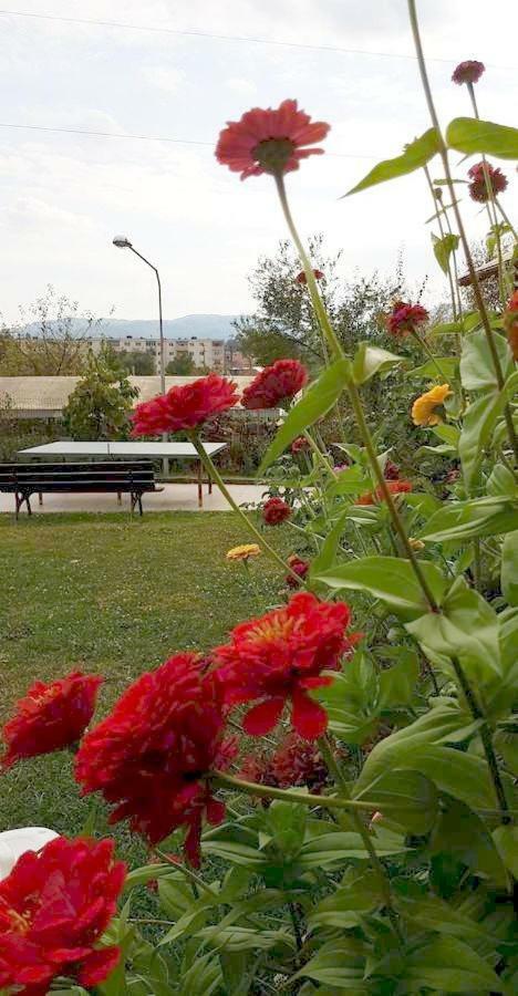 Pensiunea Dana Horezu Bagian luar foto