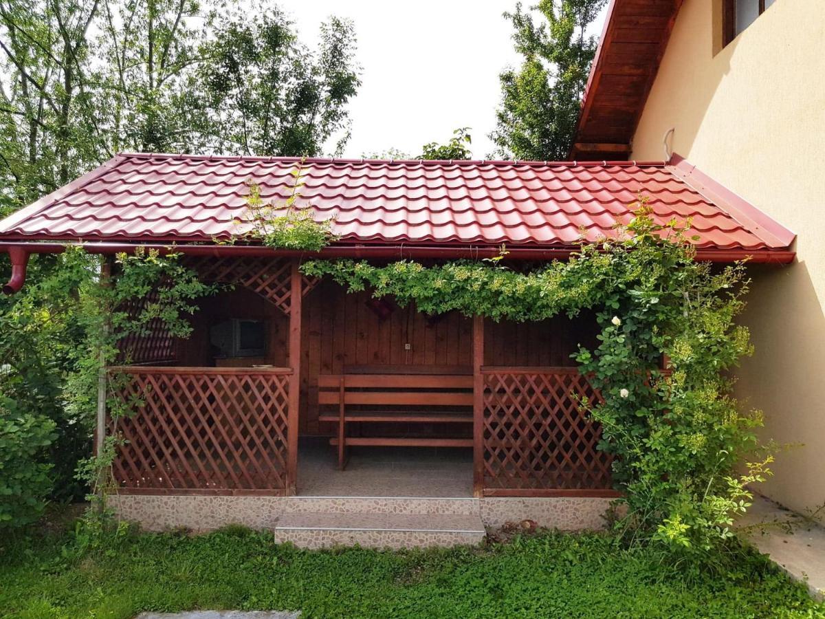 Pensiunea Dana Horezu Bagian luar foto