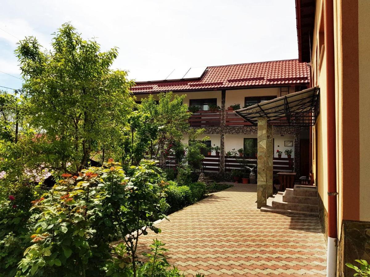 Pensiunea Dana Horezu Bagian luar foto